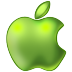 Apple Green Icon 72x72 png
